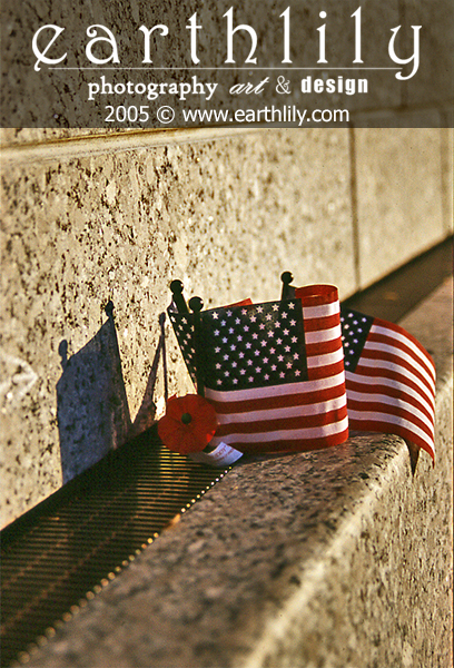 Remembrance Flags